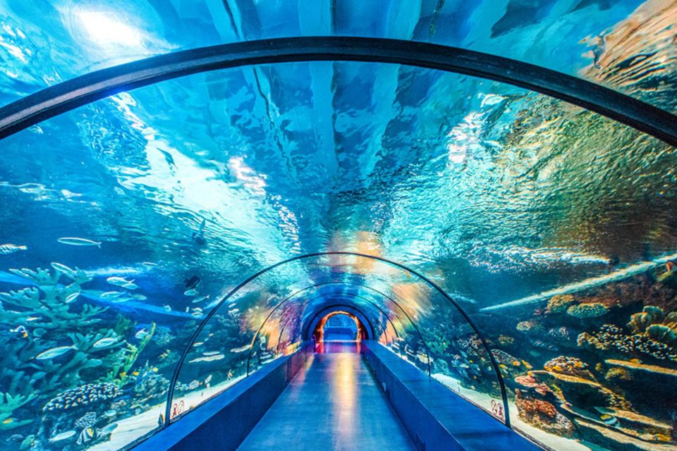 Antalya Aquarium Heldagstur